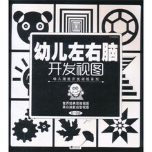 幼儿左右脑开发视图·幼儿潜能开发训练系列：世界经典思维视图·黑白抽象启智视图（0～3岁）