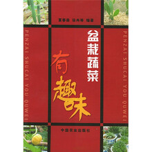 盆栽蔬菜有趣味