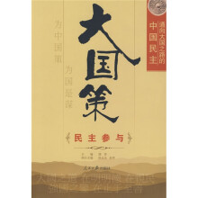 通向大国之路的中国民主:民主参与