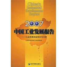 2007中国工业发展报告：工业发展效益现状与分析