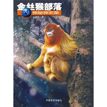 金丝猴部落探秘神农架