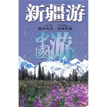 新疆游