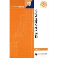 论技术选择与经济增长