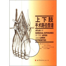 上下肢手术路径图谱(精)