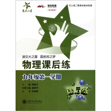 物理课后练:9年级(第1学期)(上海专用)