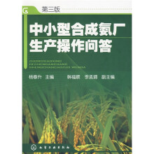 中小型合成氨厂生产操作问答