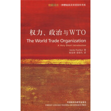 权力、政治与WTO