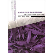 我国注册会计师执业环境问题研究-改善注册会计师作业环境的理论分析