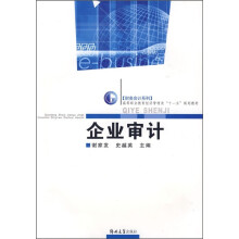 企业审计