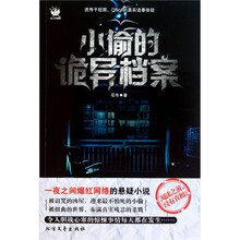 小偷的诡异档案