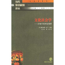 文化社会学：浮现中的理论视野