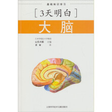 三天明白大脑