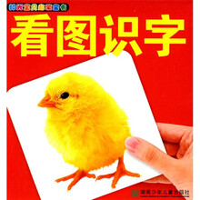 阳光宝贝启蒙全卡：看图识字