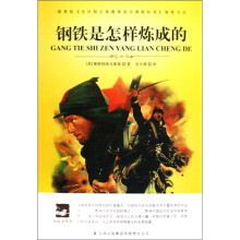 大语文丛书:钢铁是怎样炼成的