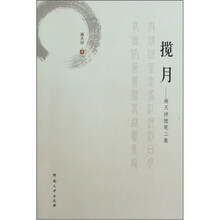 揽月--麻天祥随笔二集