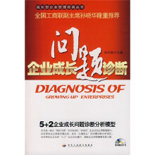 企业成长问题诊断（附光盘）