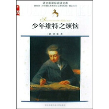 少年维特之烦恼