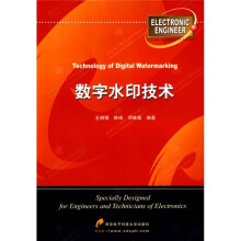 数字水印技术