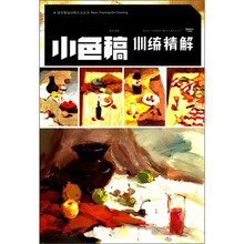 造型基础训练方法丛书：色彩静物·小色稿训练精解