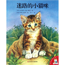 爱的味道图画书：迷路的小猫咪