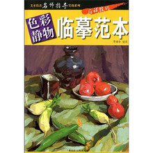 美术技法名师指导实战系列
：色彩静物临摹范本