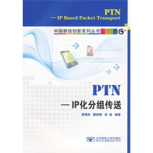 PTNIP化分组传送