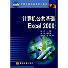 计算机公共基础:Excel 2000