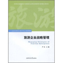 21世纪高等院校旅游专业规划教材:旅游企业战略管理