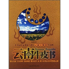 云南牛皮书