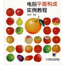 电脑平面构成实例教程（附光盘）