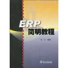 ERP简明教程
