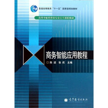 商务智能应用教程