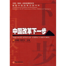 中国改革下一步(献给中国改革开放30年)