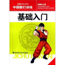 中国散打训练：基础入门