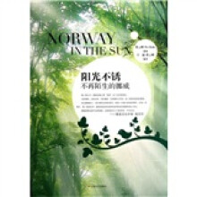 阳光不锈：不再陌生的挪威