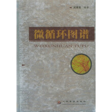 微循环图谱
