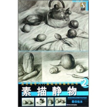 美术高考入门基础训练2：素描静物