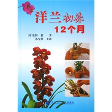 洋兰初养12个月