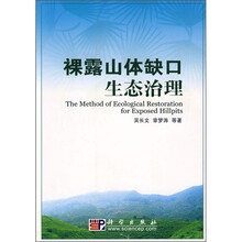 裸露山体缺口生态治理