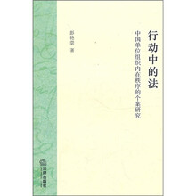 中国单位组织内在秩序的个案研究：行动中的法