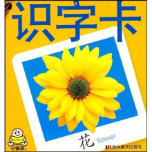 小婴孩认知卡:识字卡