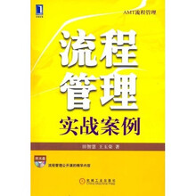 流程管理实战案例（附光盘）