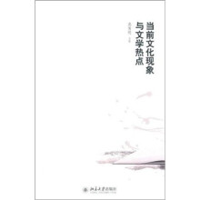 当前文化现象与文学热点