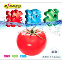 第1本真正的洗澡书：蔬菜