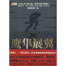 鹰隼展翼