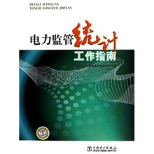 电力监管统计工作指南