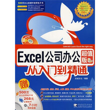 Excel公司办公从入门到精通（超值版）