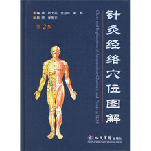 针灸经络穴位图解