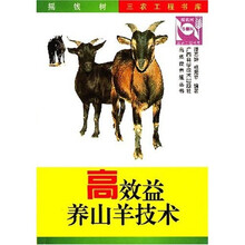 高效率养山羊技术