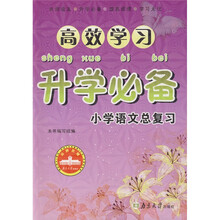 高效学习升学必备：小学语文总复习